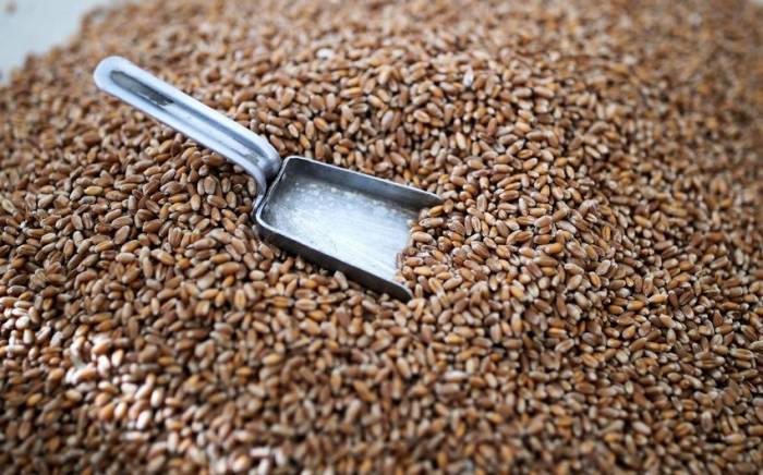 Минсельхоз: В стране сформированы запасы пшеницы
