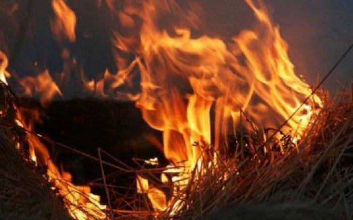 В Джалилабаде возник пожар
