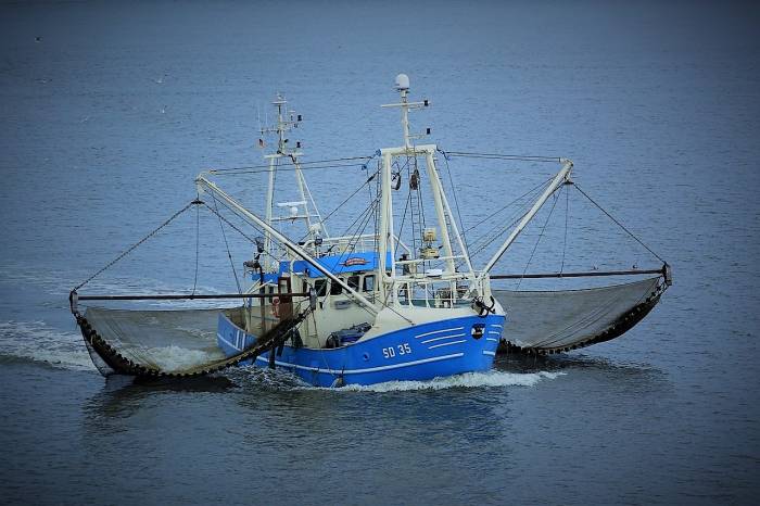 Россия запретила японским рыбакам ловить рыбу вблизи Курил
