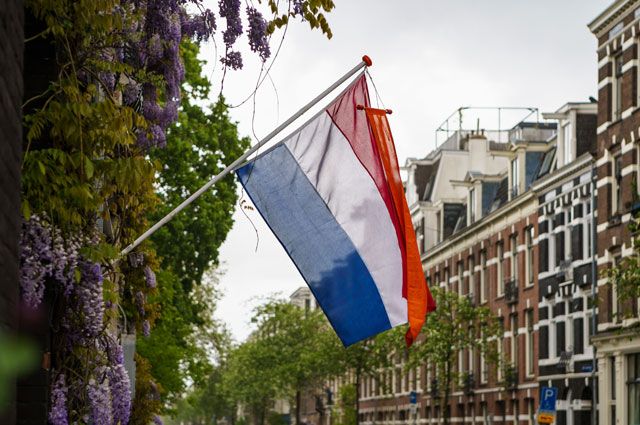 Нидерланды заявили о риске «эффекта домино» в газовом кризисе

