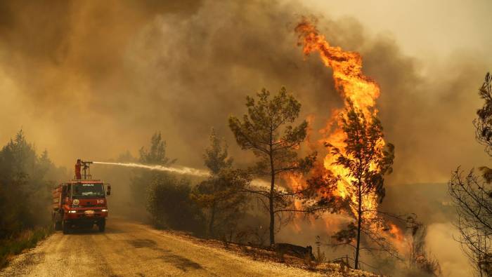 В Турции лесной пожар взят под контроль
