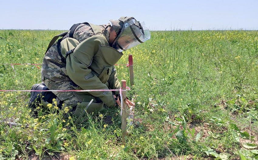 Минобороны АР обнародовало число уничтоженных мин на освобожденных территориях
