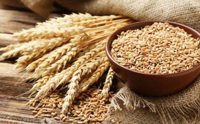 Россия вновь повышает пошлину на экспорт пшеницы

