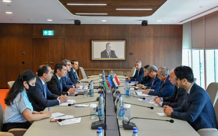 Азербайджан обсудил расширение экономического сотрудничества с Египтом
