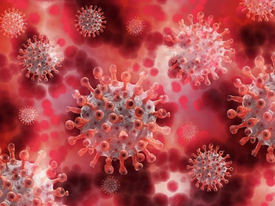 Число случаев заражения коронавирусом в мире превысило 555 млн
