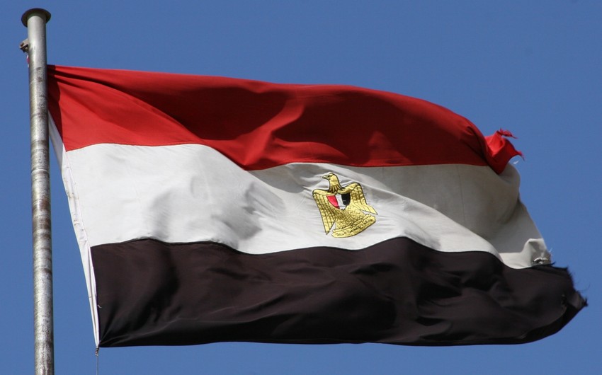 Египет расторг контракты на покупку пшеницы из Украины
