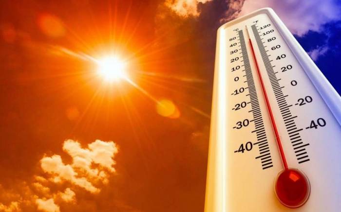 В Азербайджане в ближайшие дни ожидается 44 градуса жары

