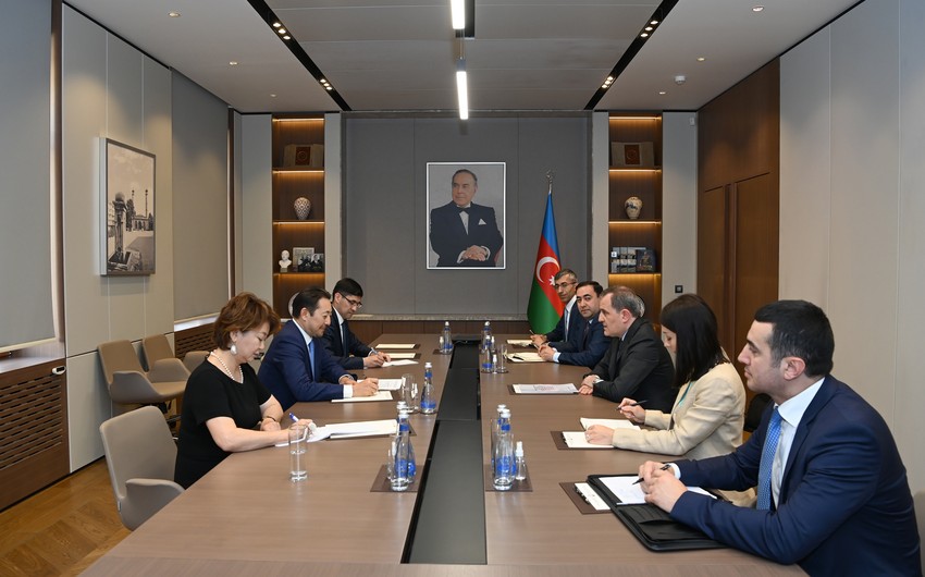 Глава МИД Азербайджана встретился с исполнительным директором СВМДА