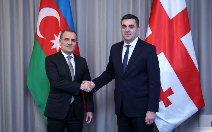 Глава МИД Грузии: Наши совместные усилия по созданию стабильности в регионе дадут результаты
