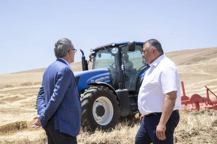В горных и предгорных районах Азербайджана началась уборка зерновых
