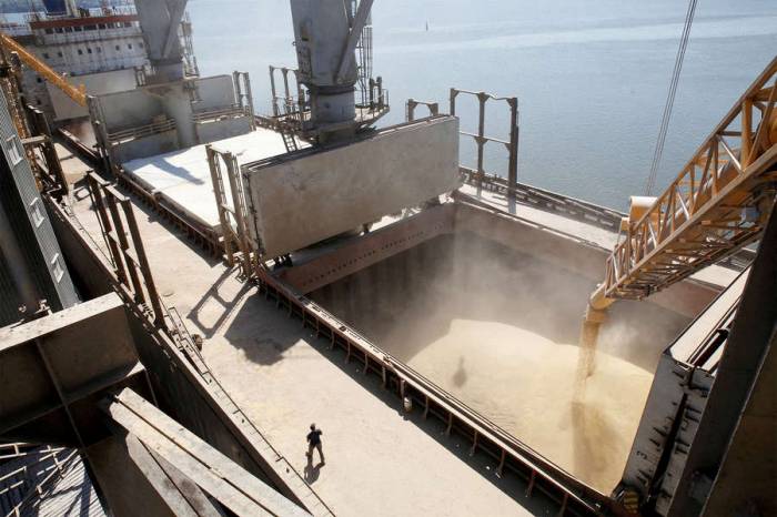 СМИ раскрыли подробности сделки по экспорту украинского зерна
