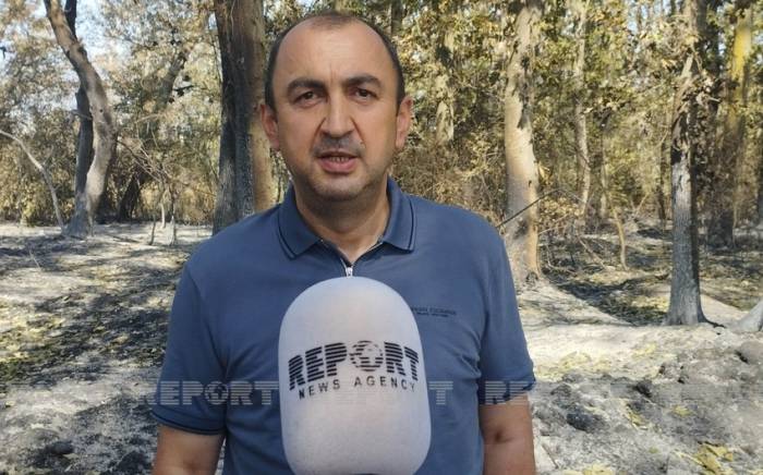 Замминистра: Виновники пожара в Хачмазе должны быть наказаны
