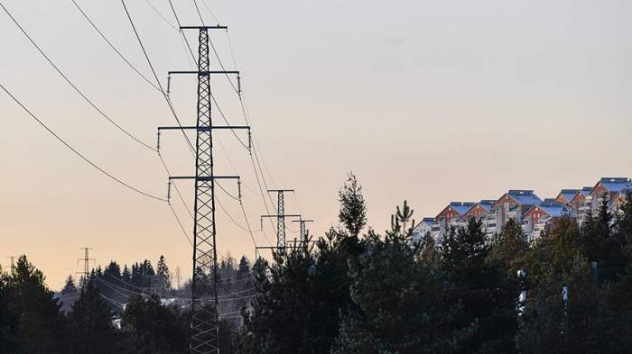 В Швеции предупредили о возможном отключении электричества предстоящей зимой
