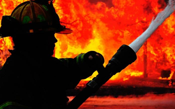МЧС: В Масаллы предотвращено распространение пожара
