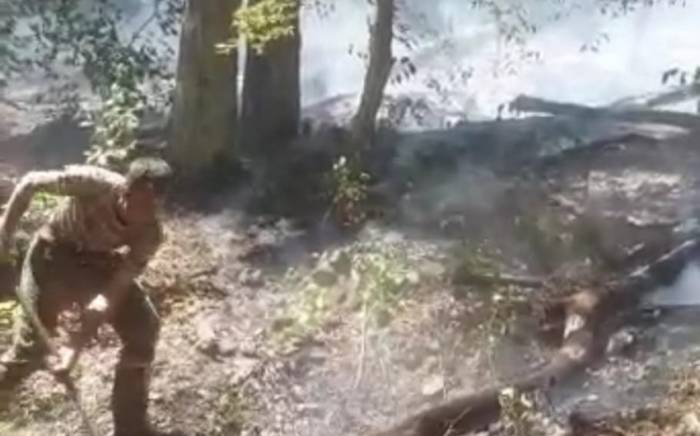 В Огузе потушен пожар в горной местности
