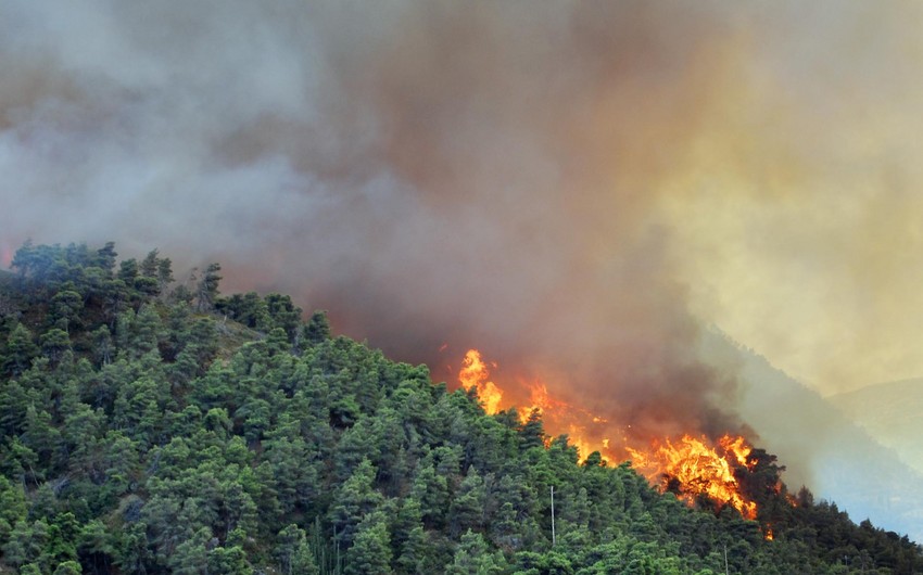 В Губинском и Шабранском районах начался пожар в лесной местности