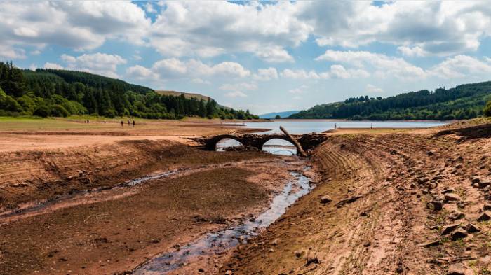 В восьми районах Британии объявили засуху
