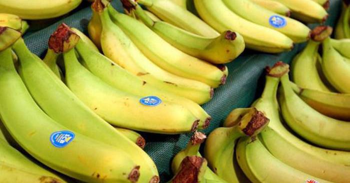 Почти 660 кг кокаина нашли среди бананов в Германии
