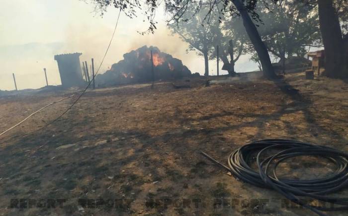 В Шабрани лесной пожар перекинулся на жилые дома-ФОТО
