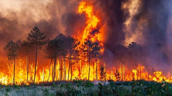 В российском регионе приготовились эвакуировать жителей из-за природных пожаров
