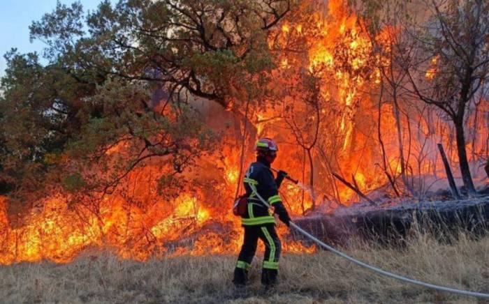 В некоторых селах Шабрана потушены пожары
