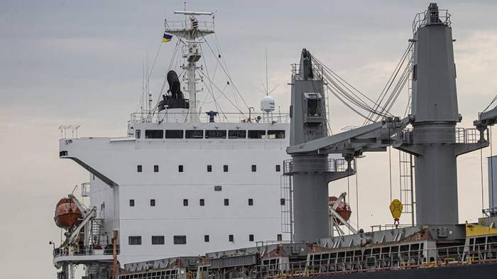 Вышедшее из порта Украины судно с зерном отслеживают турецкие спутники
