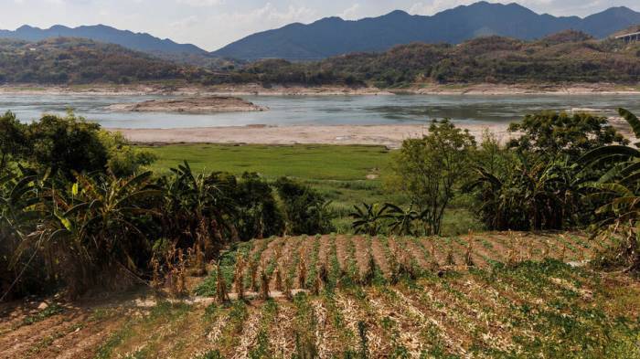 В Китае вызовут искусственный дождь для спасения урожая от засухи
