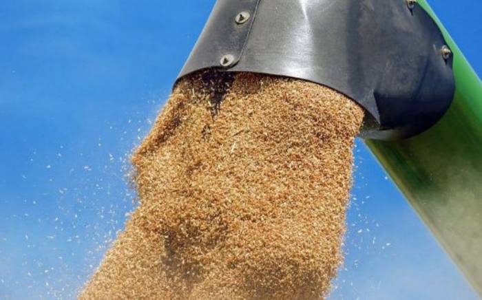 В Азербайджане разработаны механизмы по повышению уровня самообеспечения продовольственной пшеницей
