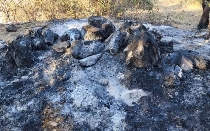 МЧС: Лесные пожары в Масаллы могли устроить умышленно