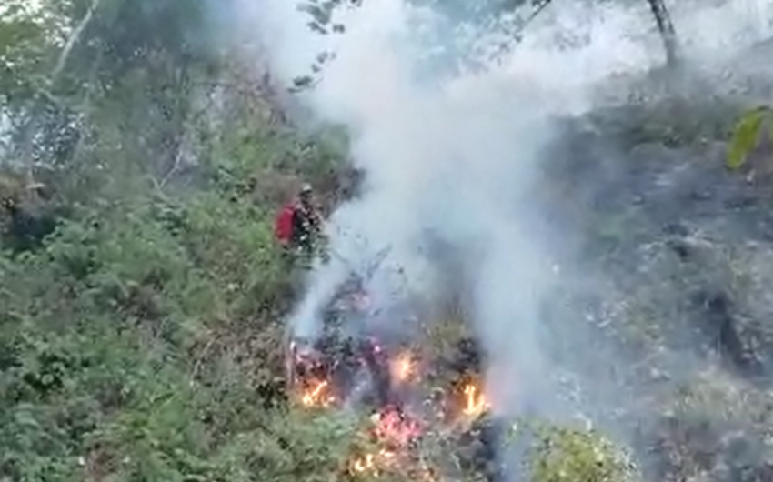 МЧС: В Масаллы продолжается тушение пожара в горной местности