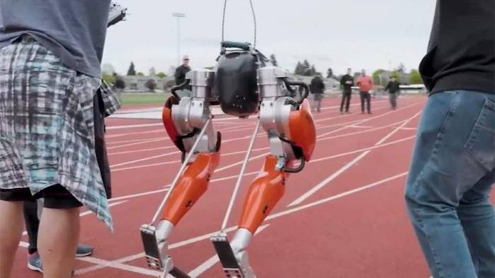 Университет штата Орегон создал самого быстрого двуногого робота -ВИДЕО
