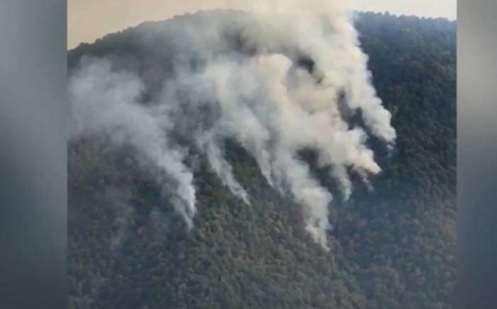 МЧС: Меры по локализации пожара в Загатале продолжаются
