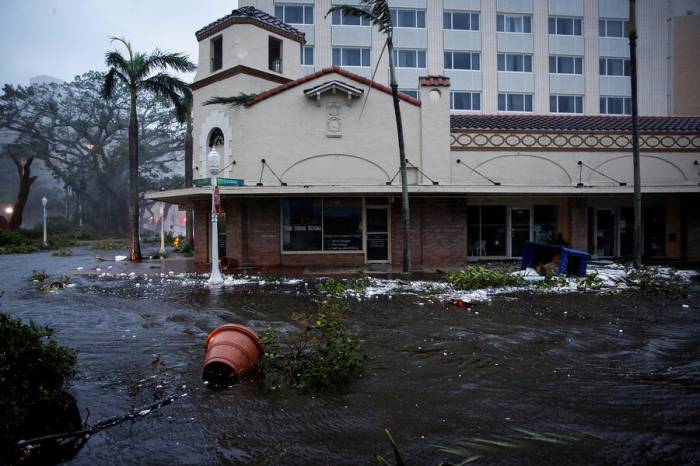 Во Флориде из-за урагана акула заплыла на улицу города -ВИДЕО
