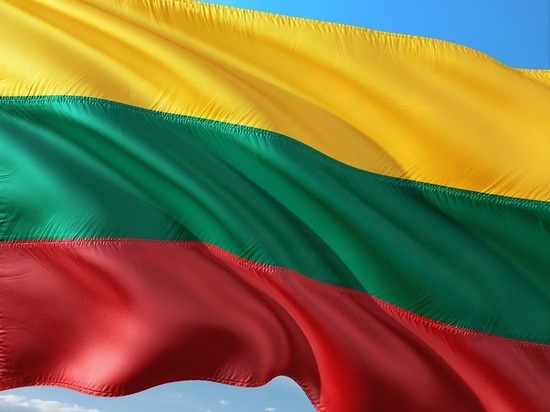 Литва повысила уровень готовности ВС из-за мобилизации в России
