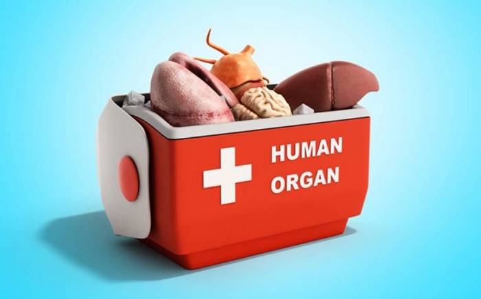 В Азербайджане утвержден порядок трансплантации донорских органов
