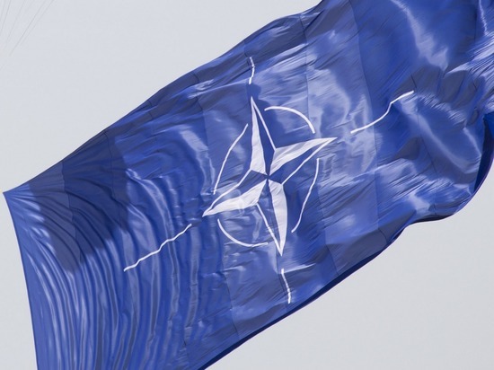 Глава МИД Польши допустил ввод войск НАТО на Украину
