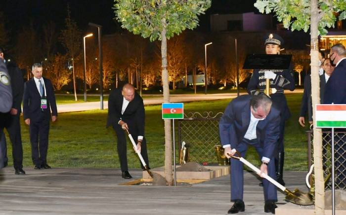 Главы государств-участников Саммита Шанхайской организации сотрудничества посадили деревья 
