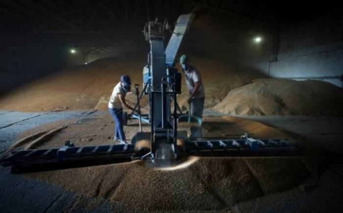 Франция и Румыния подпишут соглашение о расширении экспорта зерна из Украины
