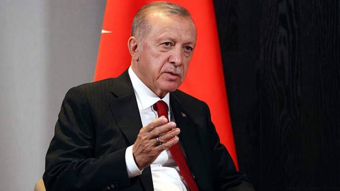 Эрдоган обсудит с кабмином использование карт «Мир» в Турции
