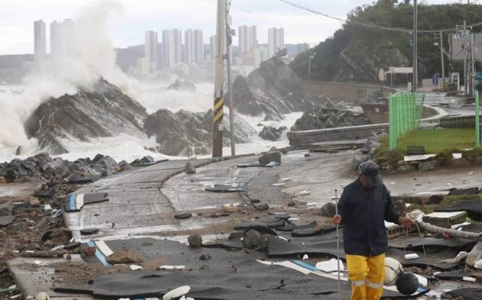 В результате супертайфуна "Хиннамнор" в Южной Корее погибли два человека
