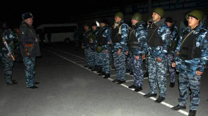 В Киргизии сообщили о прекращении перестрелки на границе с Таджикистаном
