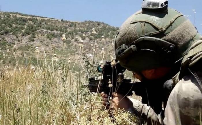 Турецкая армия уничтожила террористов на севере Ирака
