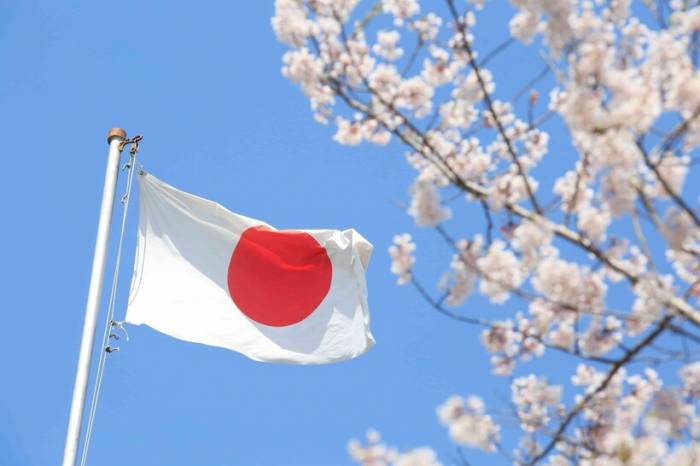 Япония допустила ответные меры на высылку своего дипломата
