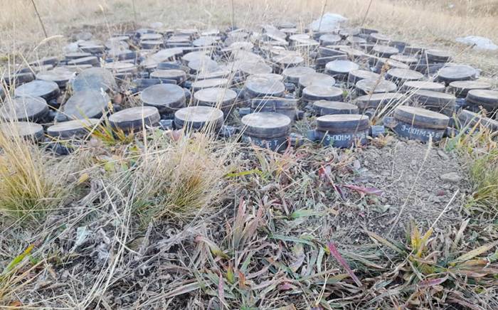 В Кяльбаджаре и Дашкесане обнаружено и обезврежено 230 мин -ФОТО
