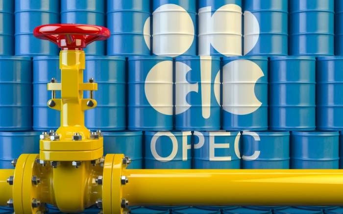 Страны Персидского залива поддержали решение ОПЕК+ о сокращении добычи нефти
