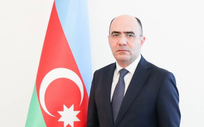 Замминистра заявил о серьезных проблемах в сфере фармацевтики в Азербайджане
