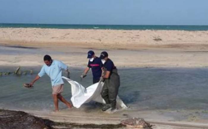 На побережье Туниса нашли тела 15 мигрантов
