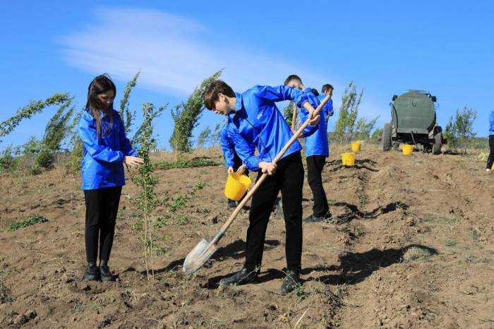 По инициативе Фонда Гейдара Алиева прошла акция по посадке деревьев -ФОТО