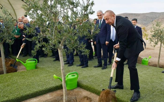 Президенты Азербайджана и Турции посадили деревья в Джебраиле
