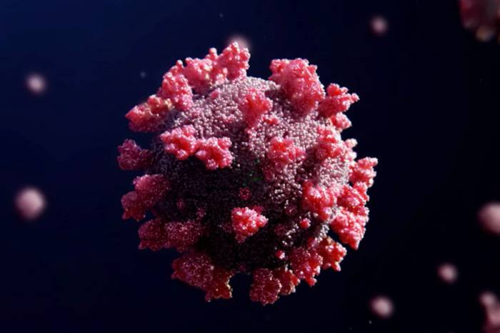 Биологи создали иммуногены, эффективные при любых штаммах коронавируса
